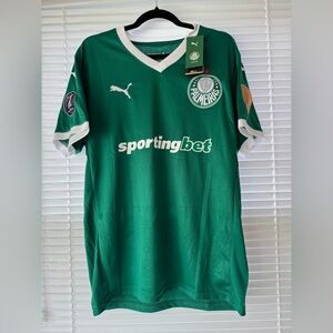 Palmeiras 25/26 Home Jersey | Richard Rios #27